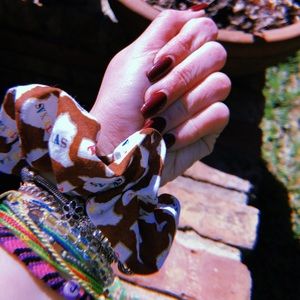 Texas themed scrunchie!